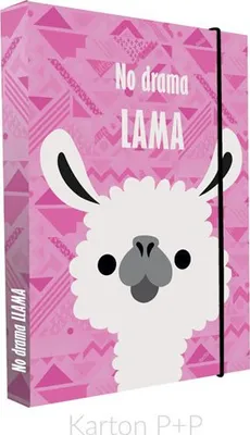Obrázek produktu pro Box na sešity A4 Jumbo Lama