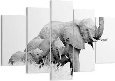 Produktbild von Bild auf Leinwand - Leinwandbild - 5 Teile - Elefanten Familie Schwarz und Weiß - 150x100cm Wand Bild Wanddeko Wandbilder Leinwanddruck Bilder Wanddekoration Leinwand bilder EA150x100-4374