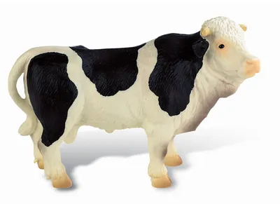Produktbild von Černobílý býk
