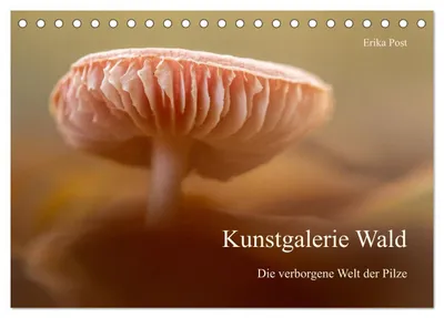 Produktbild von Kunstgalerie Wald - die verborgene Welt der Pilze (Tischkalender 2027 DIN A5 quer), CALVENDO Monatskalender