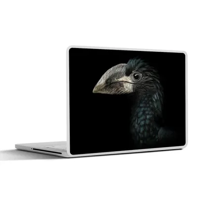 Produktbild von MuchoWow® Laptop Aufkleber Sticker Cover Vogel - Porträt - Hornvogel - Schwarz - Tiere 36.5x27.5 cm - Laptop-Sticker