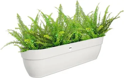 Produktbild von Blumenkasten Elho Vibia campana Easy Hanger XXL Kunststoff 69 x 23,7 x 26,8 cm seidenweiß