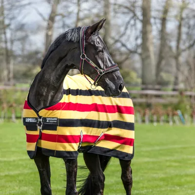 Produktbild von Horseware Rambo Deluxe Fleece - Witney Gold