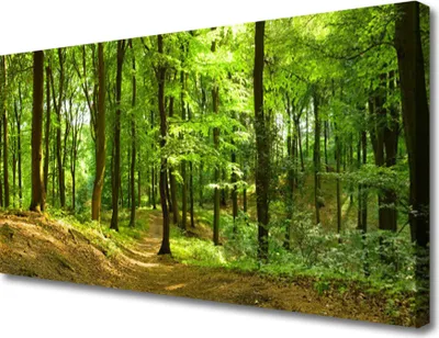 Produktbild von Tulup Leinwand-Bilder 100x50 Wandbild Canvas Kunstdruck Wald Natur