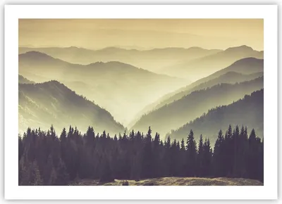 Produktbild von Poster - Poster ohne Rahmen - Berge Wald Natur - 70x50 cm - Wand Bild - Wanddeko - Wandbilder - Kunstposter - Wandposter - Bilder - Kunstdruck - Wanddekoration - Wandbild - P2XAA70x50-3820