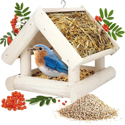 Obrázek produktu pro PATKAR Ptačí budka k zavěšení – krmítko pro ptáky – ptačí budka pro volně žijící ptáky – balkonový pták – 25 x 25 cm – z borového dřeva + 500 g krmiva