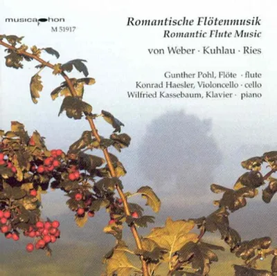 Produktbild von Romantische Flötenmusik