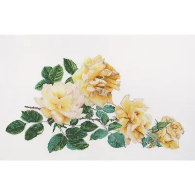 Produktbild von Thea Gouverr Kreuzstich Stickpackung "Friedensrose Aida", Zählmuster, 44x65cm