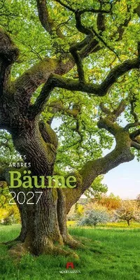 Produktbild von Ackermann Kunstverlag Kalender 2027 Bäume 33x66 cm Hochformat Spiralbindung 3-sprachig