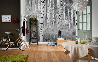 Produktbild von Komar Vlies Fototapete "Woods", schwarz/weiß, 368 x 248 cm; XXL4-023