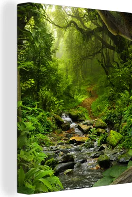 Produktbild von MuchoWow® - Leinwandbilder - Natur - Wasser - Dschungel - Wald - Tropisch, Wandbild, Wanddeko Bilder Wohnzimmer, 30x40 cm