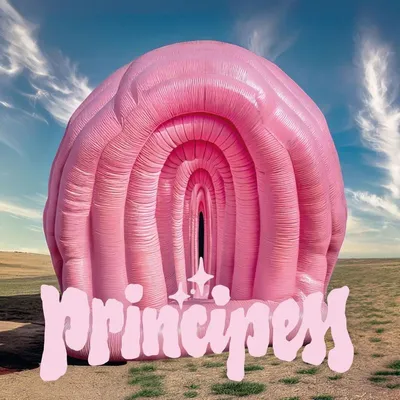 Image de Principess : Principess - - (LP / P)