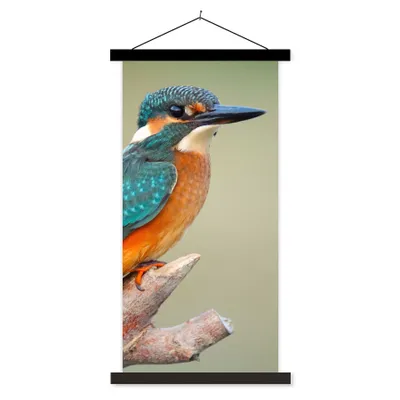 Produktbild von MuchoWow® Textilposter Vogel - Eisvogel - Zweig 90x180 cm mit schwarzem Rahmen - Dekoration Wohnzimmer