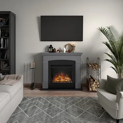 A living room scene featuring an electric fireplace, sofa, armchair, bookshelf, and a large plant.