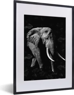 Produktbild von MuchoWow® Gerahmtes Poster Botanischer Elefant auf dunklem Hintergrund - schwarz und weiß 30x40 cm - Poster mit Schwarzem Bilderrahmen Wandposter Rahmen Foto Bilder - Wandposter Schlafzimmer