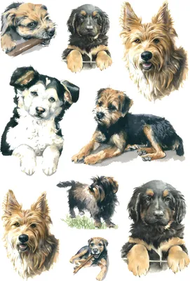 Produktbild von HERMA 3341 10x Sticker DECOR Hunde