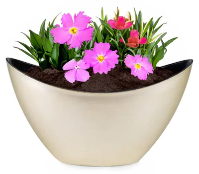 Immagine prodotto di Fioriera ovale jardiniere 20 cm vintage color oro per esterni