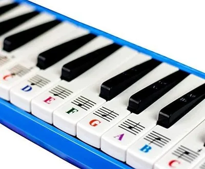 Zdjęcie produktu dla Naklejki na klawisze melodyki 32/37 kolorowe dla dzieci uczące się