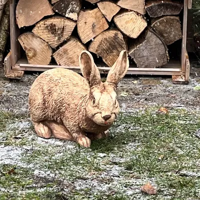Produktbild von Entzückende Kaninchenstatuette - perfekte Gartendekoration