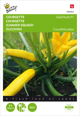 Produktbild von Zucchini Gold Rush F1 | Zucchinisamen von Buzzy Seeds
