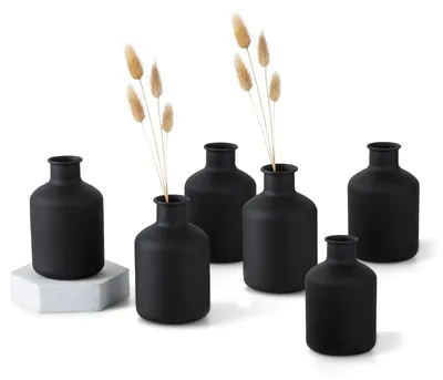 Image de Ensemble de 6 petites vases noires pour fleurs séchées