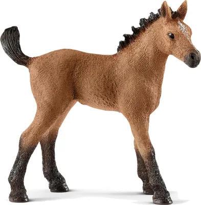 Produktbild von Schleich Horse Club - Spielfigur - Quarter Horse - Fohlen