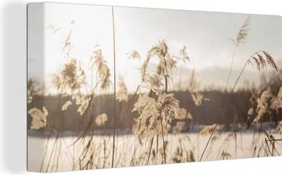 Produktbild von MuchoWow® - Leinwandbilder - Wasser - Pampasgras - Pflanzen, Wandbild, Wanddeko Bilder Wohnzimmer, 40x20 cm