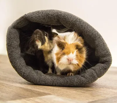 Obrázok produktu pre Bunny Fleece Tunnel Rosa