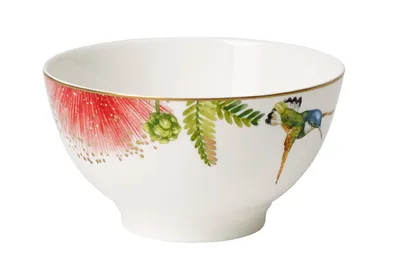 Image de Villeroy & Boch Amazonia Anmut Bol 550ml
