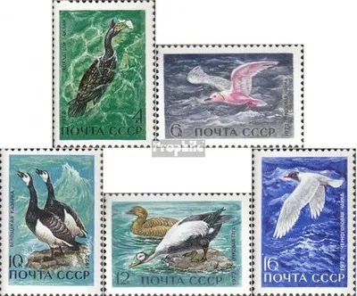 Produktbild von Briefmarken Sowjetunion 1972 Mi 3974-3978 (kompl.Ausgabe) gestempelt Meeresvögel