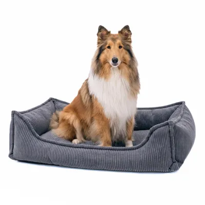 Produktbild von 4L Textil HUGO Orthopädisches Hundebett aus Cord Premium-LINE Hundekorb mit Bezug (80x60 cm, Dunkelgrau)
