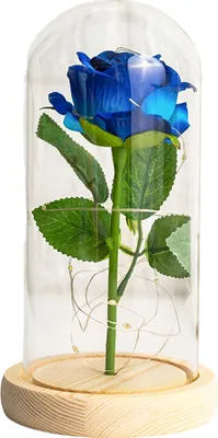 Produktbild von Künstliche Rosen, Ewige Rosen mit LED-Licht, realistisch aussehende, batteriebetriebene Simulationsrosen, Weihnachtsgeschenke
