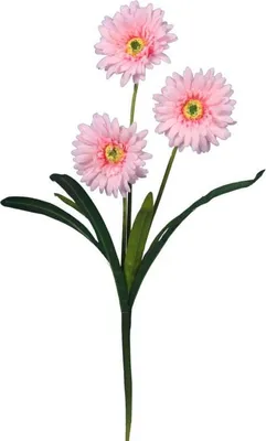 Productafbeelding van Kunstgerbera-tak in lichtroze, hoogte 55 cm