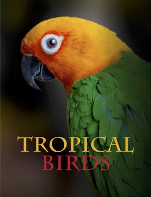 Produktbild von Tropical Birds