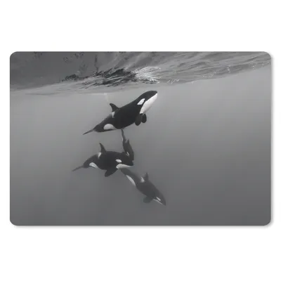 Produktbild von MuchoWow® Mauspad Mousepad Orca - Wasser - Schwarz - Weiß 27x18 cm - Mousepads - Maus Mat - Pad - Mausunterlage - Büroartikel - Desk Matten