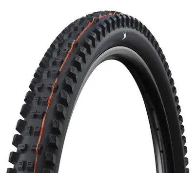 Image de Pneu VTT Schwalbe Tacky Chan Gravity Pro Soft Radial Tubeless 29'' x 2,50, couleur argent 29'' x 2,50, couleur argent 29'' x 2,50