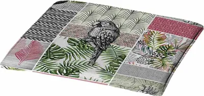 Produktbild von MADISON  Papagei J54041