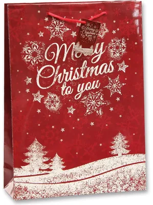 Produktbild von 12x Geschenktüten Geschenktaschen Groß 157g Glänzend Ca. 25x8,5x34,5cm