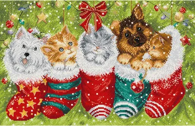 Produktbild von Letistitch Kreuzstich-Set „Hunde und Katzen in Strümpfen“, 37 x 24 cm, zum Selbermachen