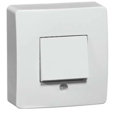 Produktbild von PEHA Wechselschalter pws glz AP IP20 1f