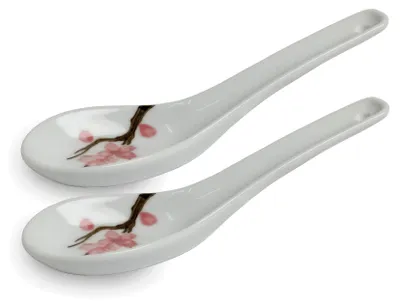 Produktbild von Grey Series ASIATICA - Sakura | Porzellan-Löffel-Set Asien / Ramen