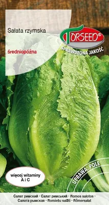 Produktbild von Samen von Römersalat Parris Island cos - Torseed