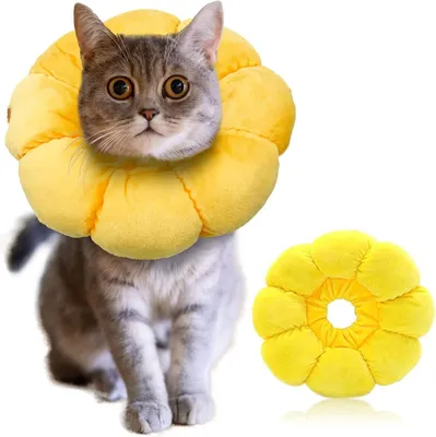 Produktbild von Katze Halsband verstellbare Halsband für Katzen und kleine Hunde, weiche Sonnenblume Erholungshalsband