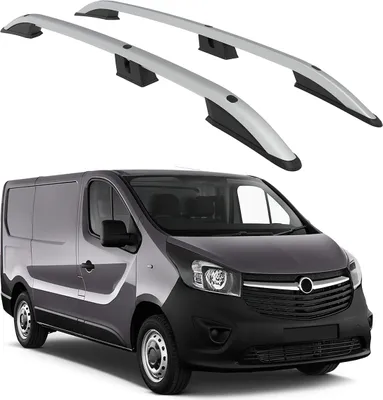 Immagine prodotto di TETTO TURTLE ROLLER CROWN OPEL VIVARO X82 2014 2015 2016 2017 2018 (SWB) , Argento