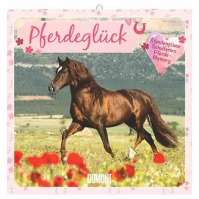 Produktbild von DUMONT Pferdeglück Wandkalender 2027 mit 12 Pferdefotografien 30 × 30 cm