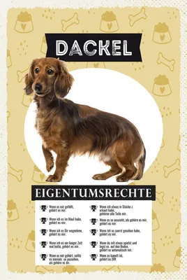 Produktbild von vianmo Holzschild 18x12 cm Dackel Eigentumsrechte