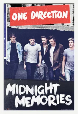 Obrázek produktu pro One Direction - Plakát - Obal alba Portrét + odnímatelný rám, Shinsuke® Maxi MDF bílá, akrylový disk