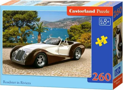 Immagine prodotto di Puzzle 260 pezzi Bolid 27538