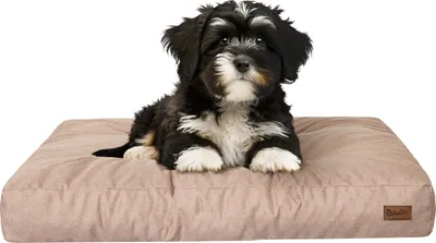 Produktbild von Hundebett, rechteckige Form, Haustiermatratze, Katzenbett, Hundekissen, Korb, Hundesofa, Liegeplatz, Gesteppt, Kissen, für kleine Hunde, Beige