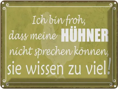 Produktbild von vianmo Blechschild 30x40 cm froh meine Hühner nicht sprechen Spruch Zitat